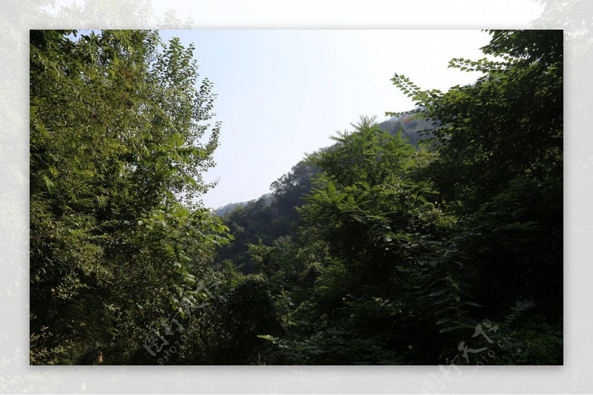 天空高山绿树图片