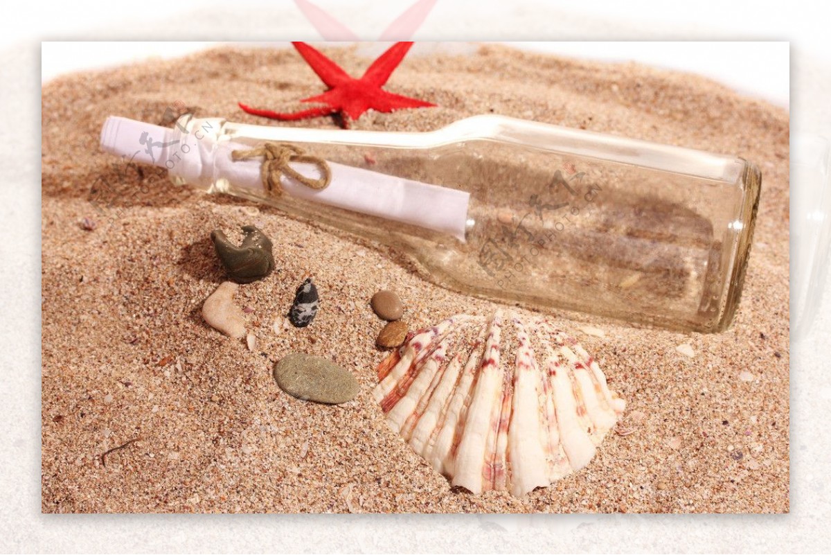 沙滩海洋生物玻璃瓶图片