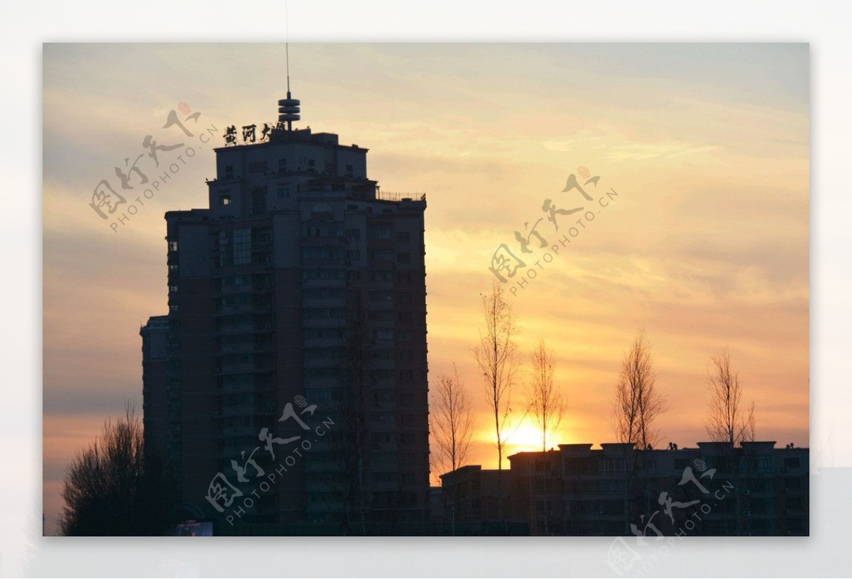 冬春夕阳红图片