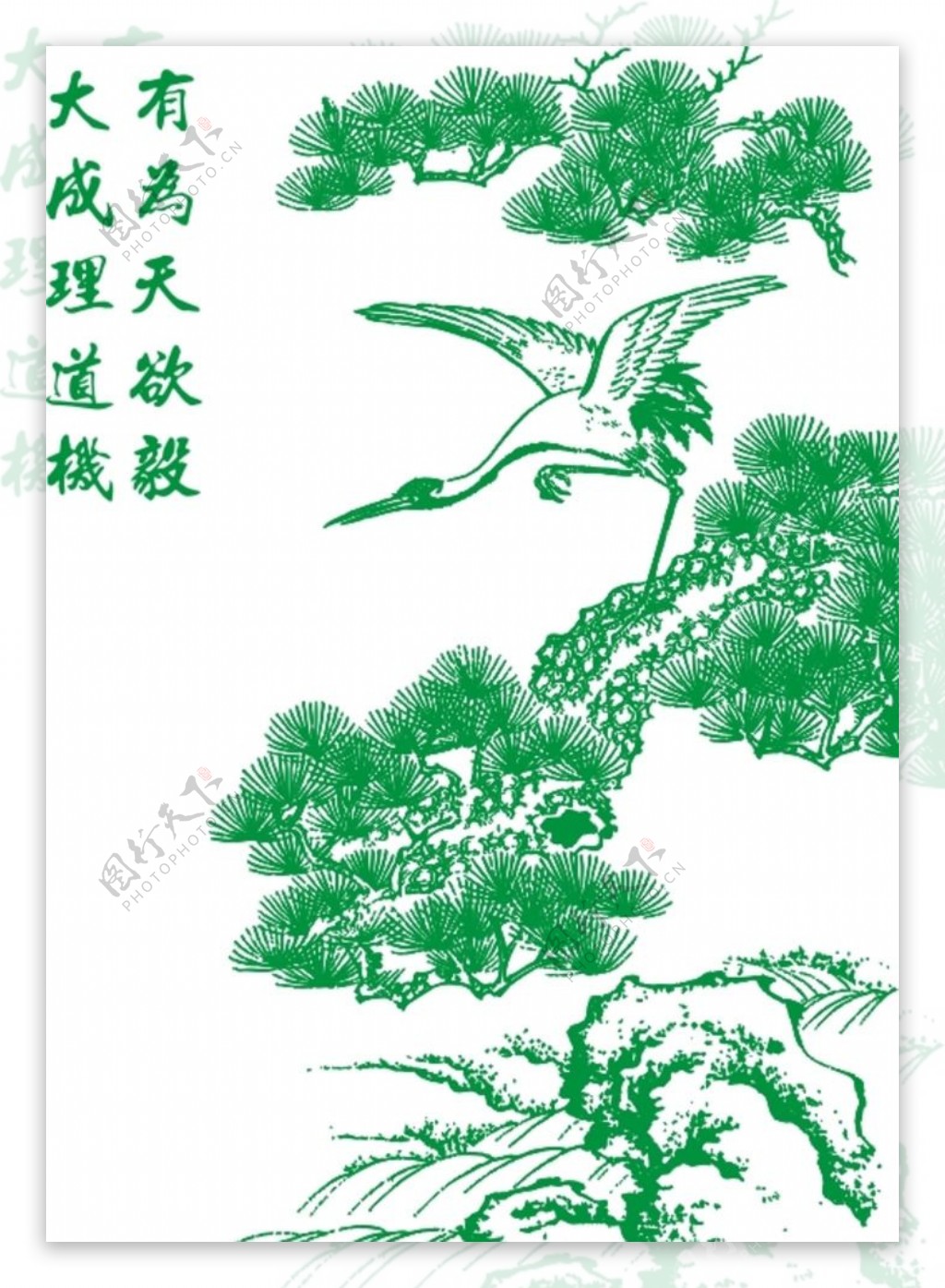 松树鹤图片