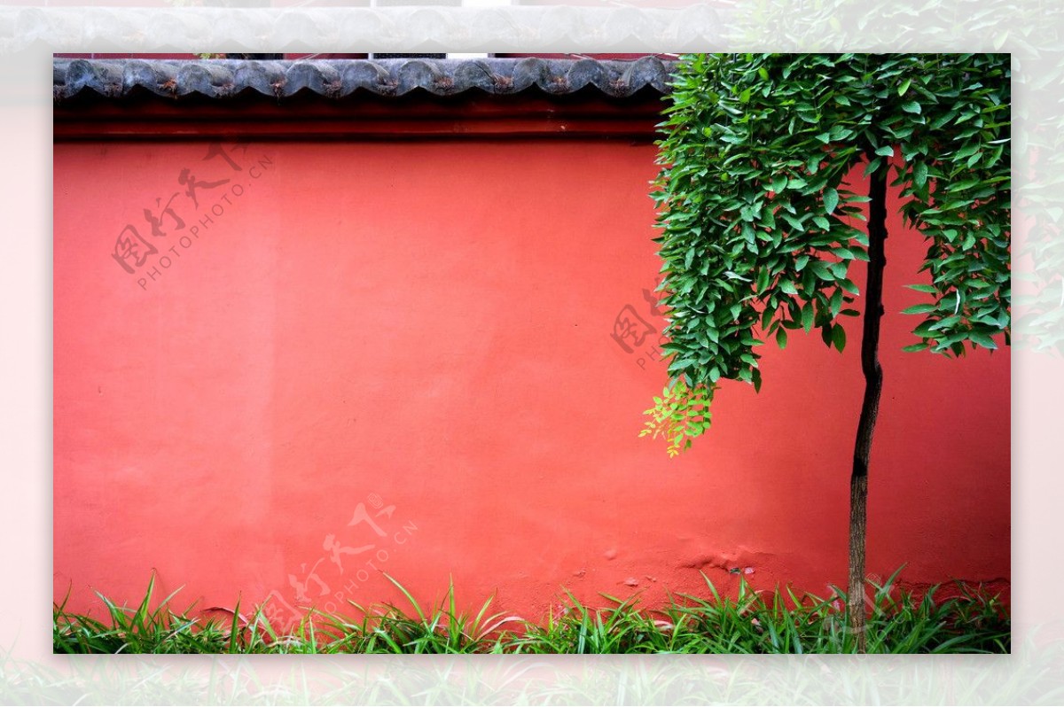 红墙砖瓦树图片