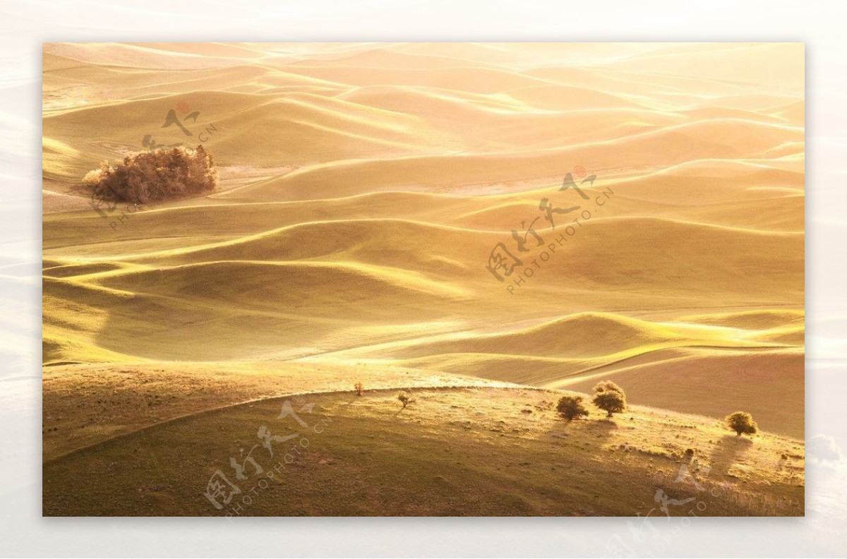 沙漠荒原图片