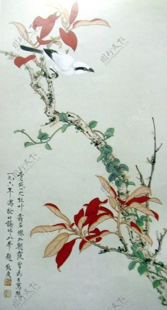 国画花鸟画图片