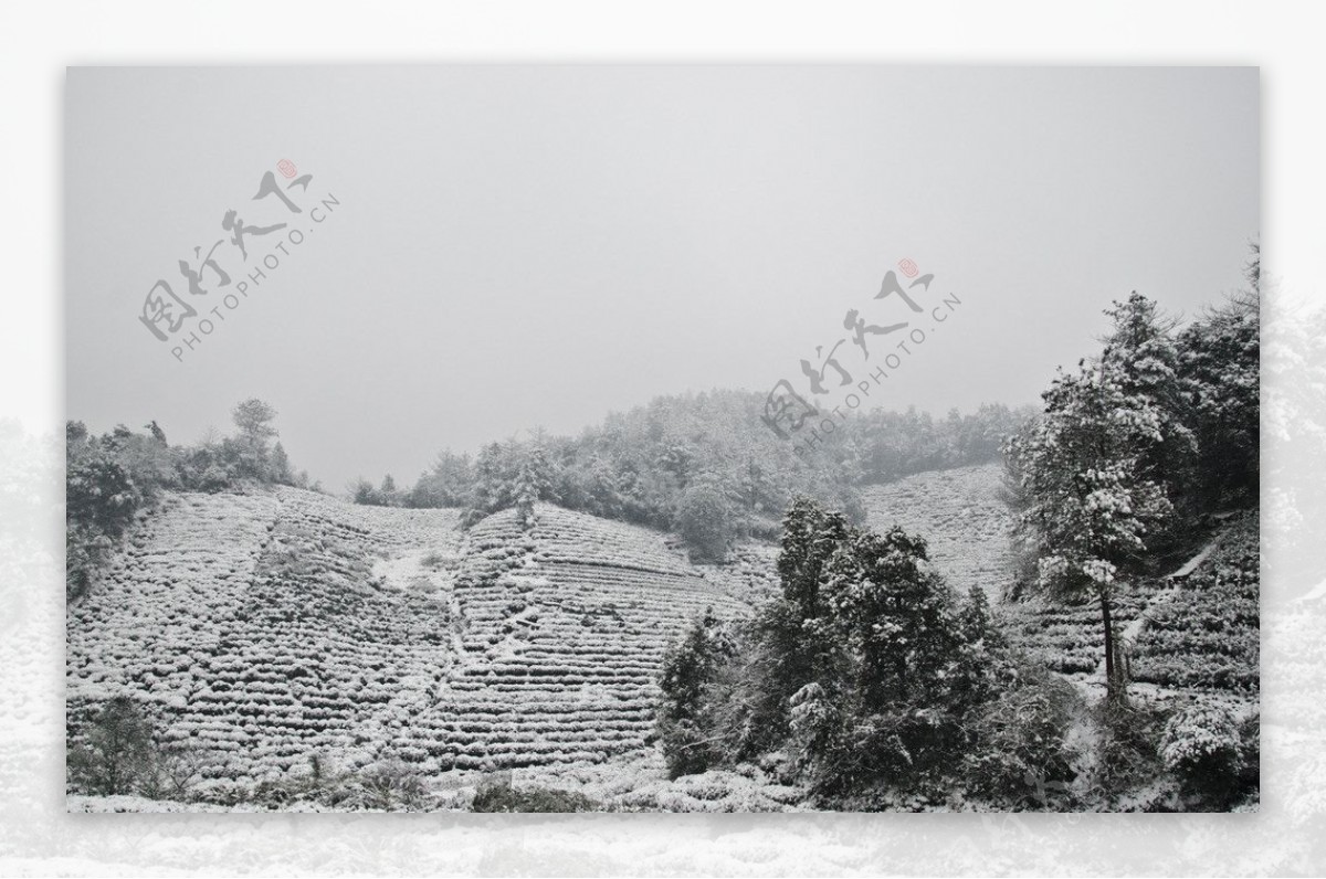 雪景图片