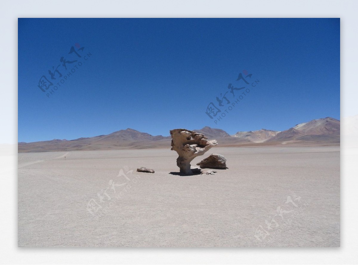 沙漠雕塑图片
