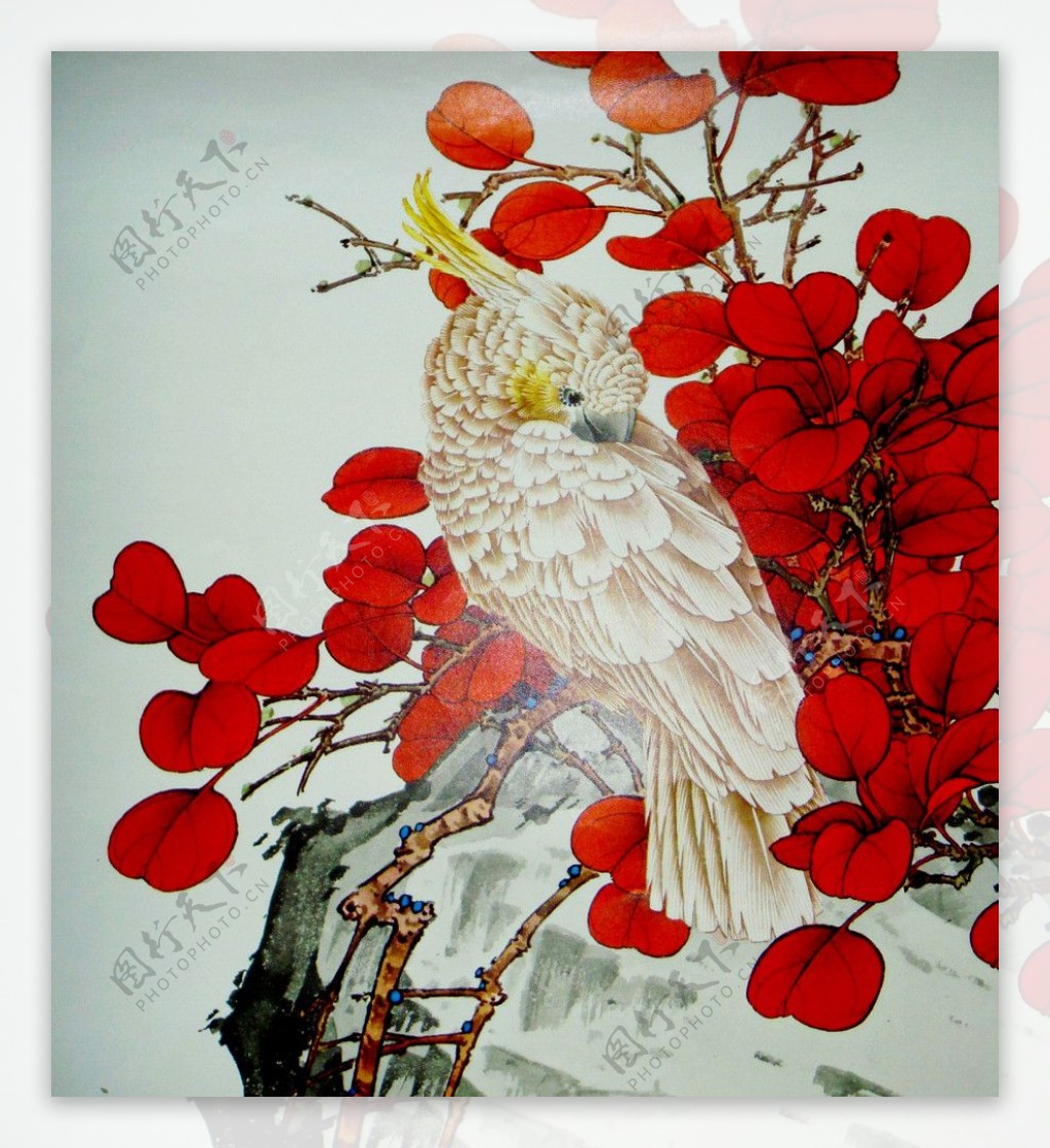 红叶白鸟图图片