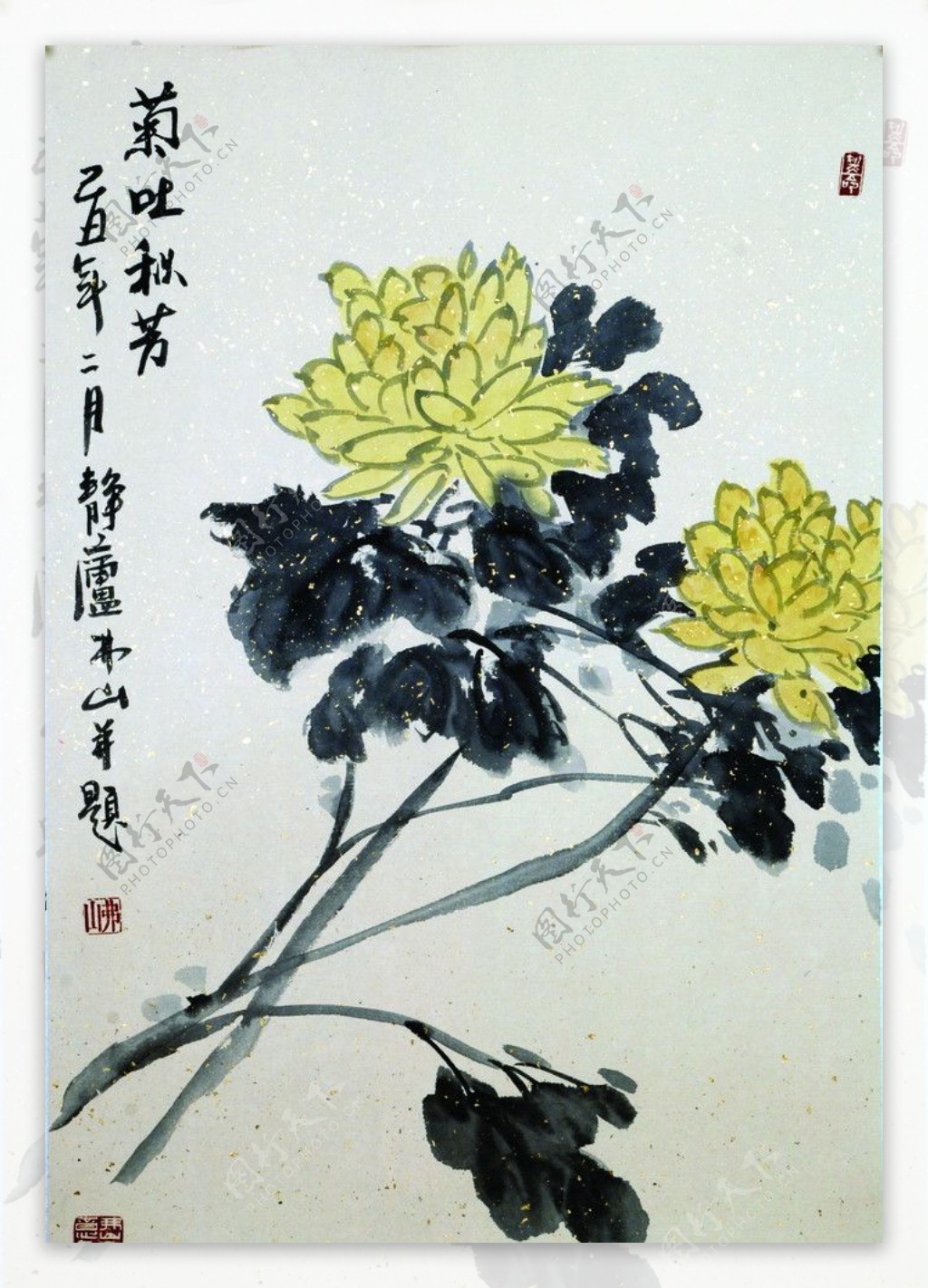 菊吐秋芳图片