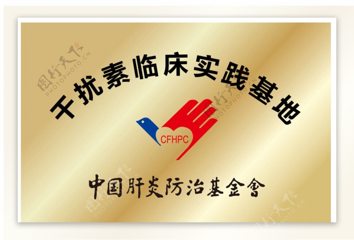 中国肝炎防治基金会图片