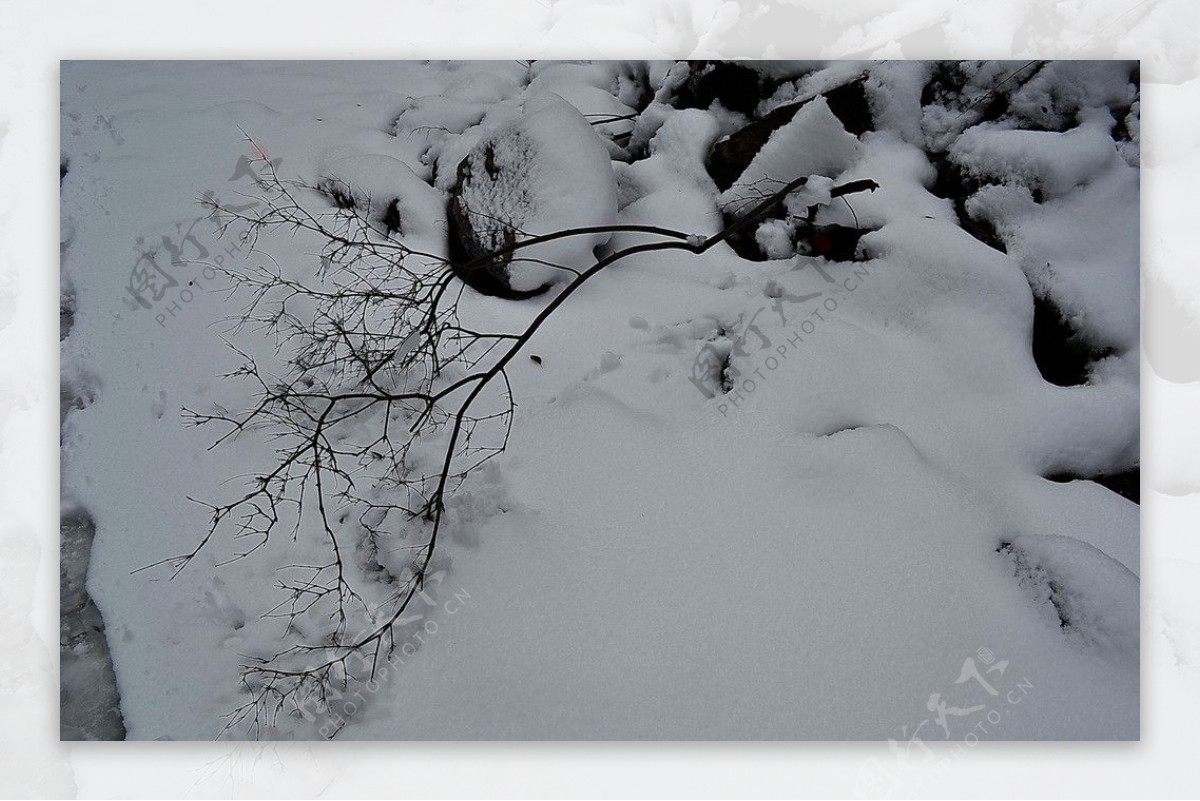 泗沟的雪图片