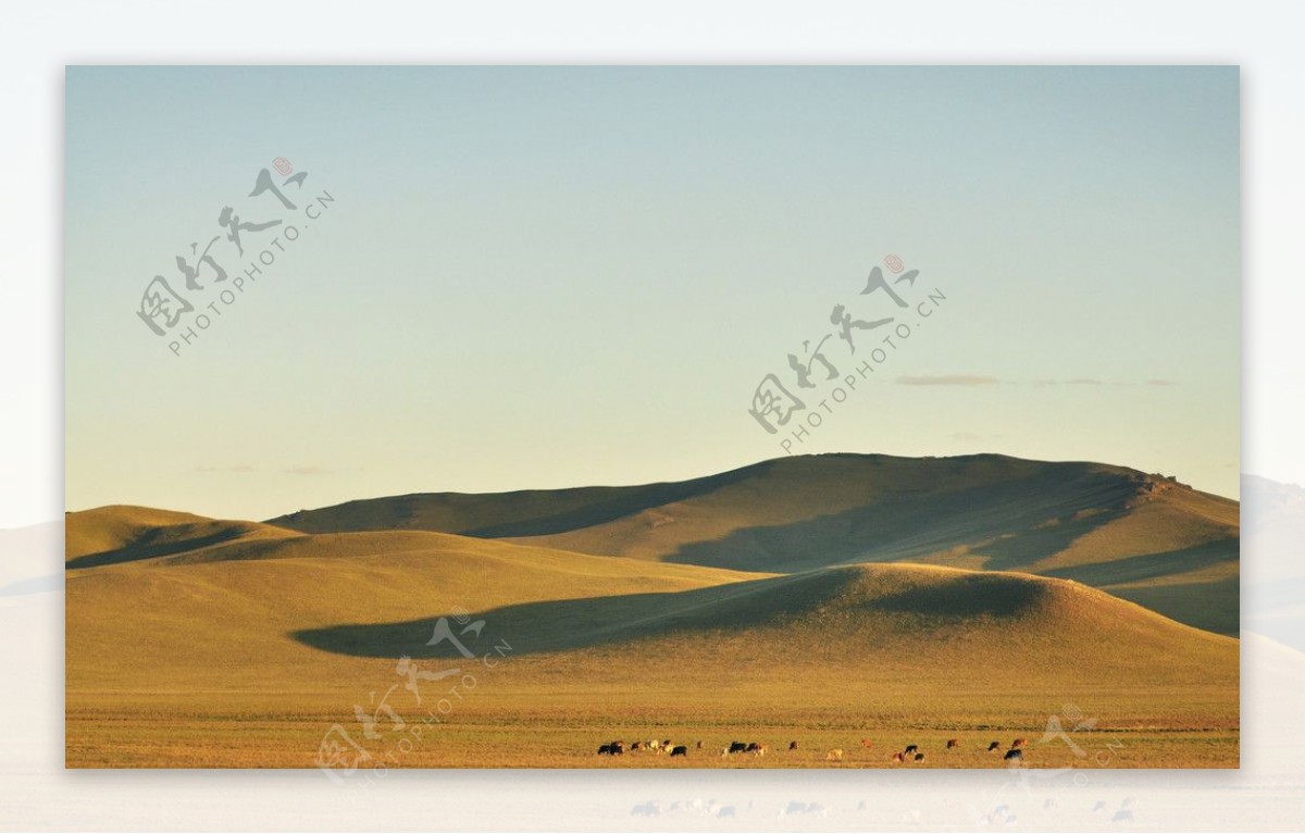 大草原上的山丘图片