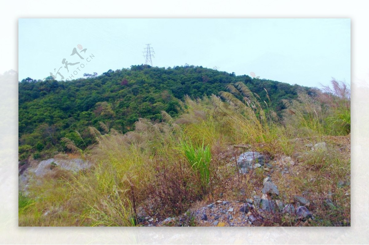 城市风景青山绿草图片