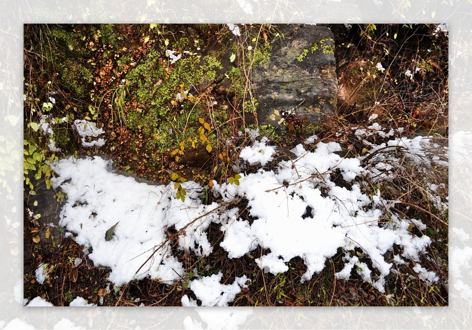 泗沟的薄雪图片