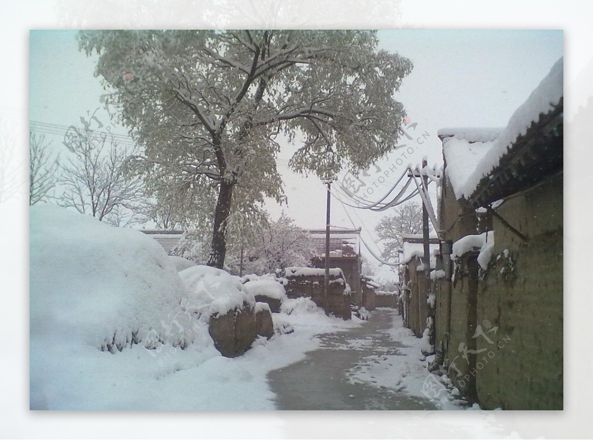 雪景图片