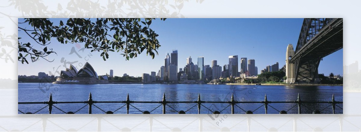 悉尼港口建筑群图片