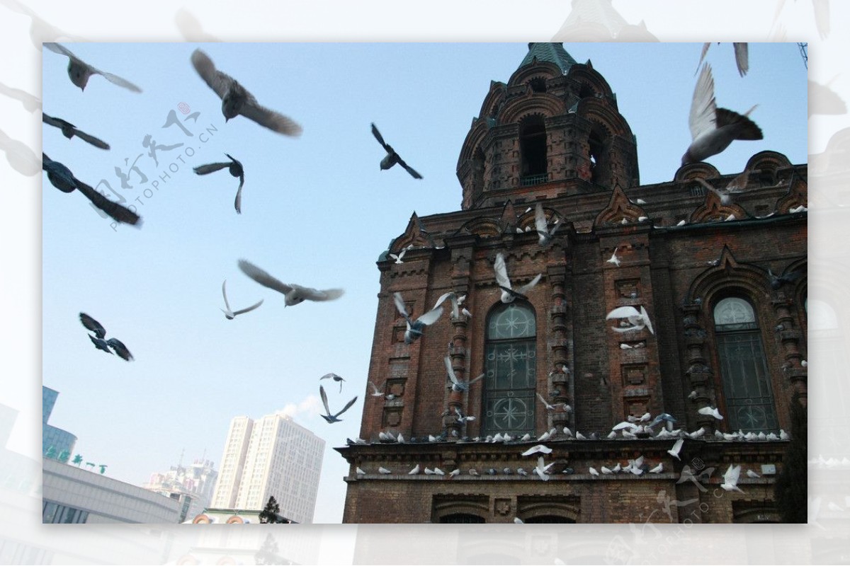 哈尔滨城市摄影图片