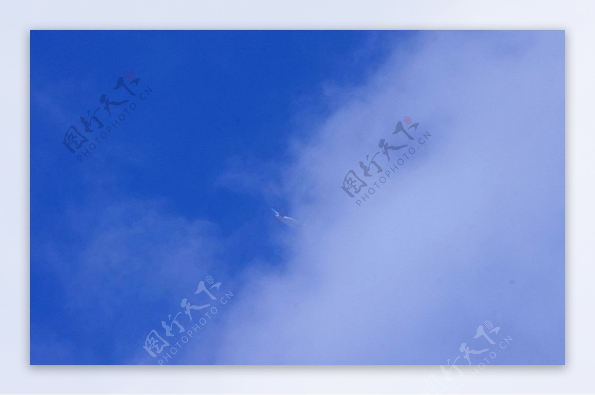 蓝天飞行高入云端图片
