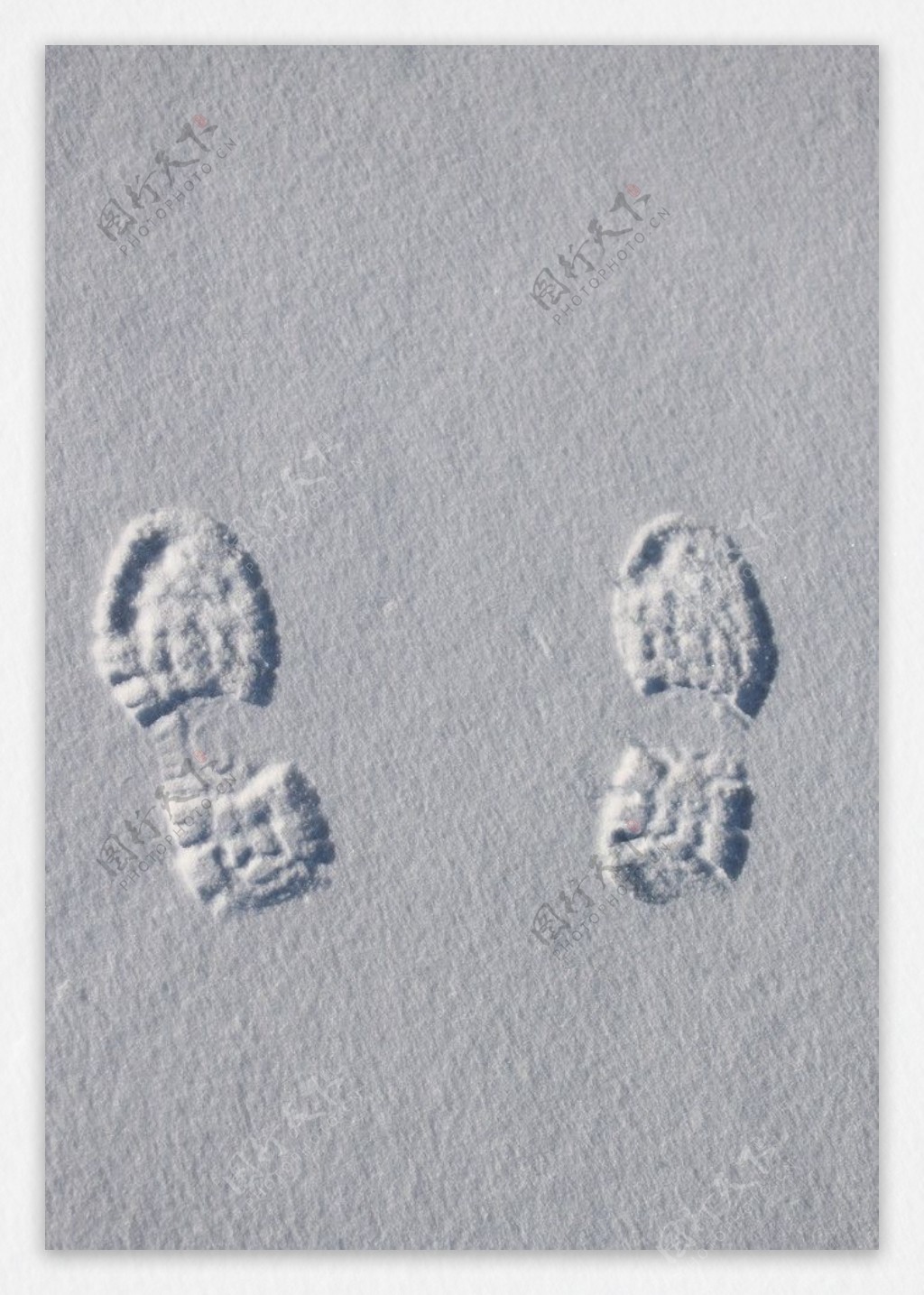 雪中足迹图片