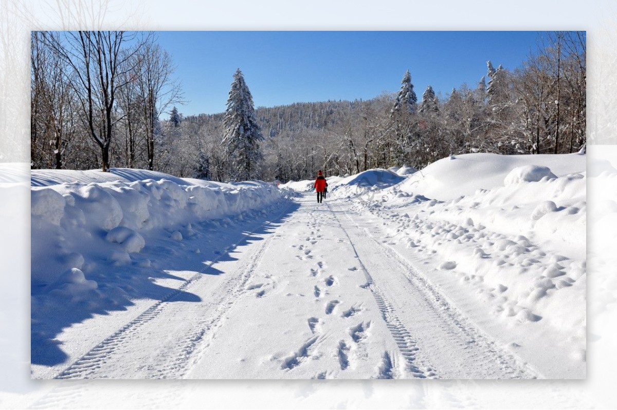 走在雪路上图片