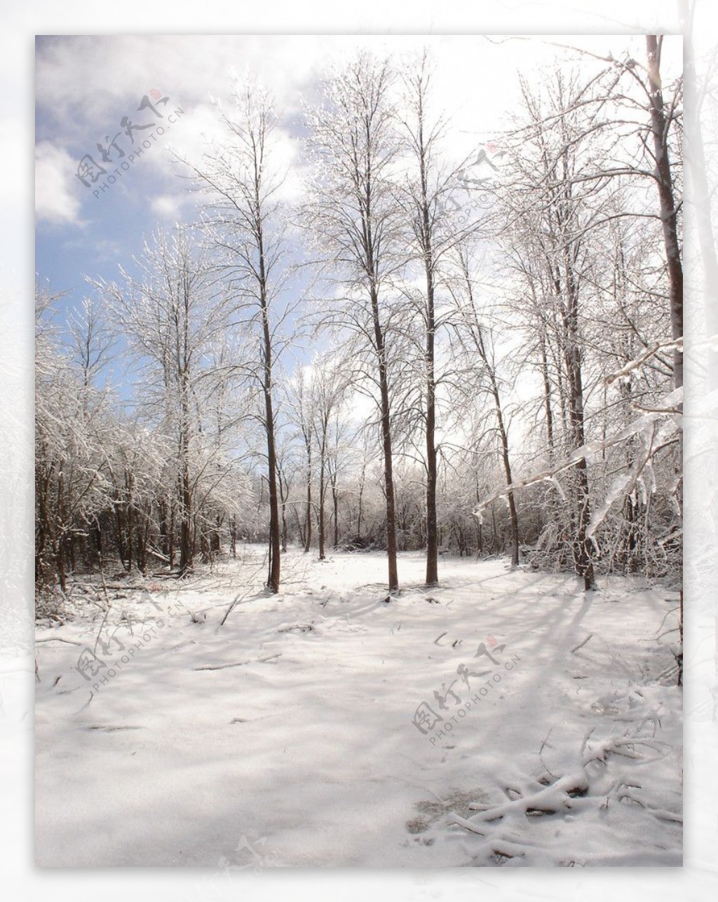冬季美景图片
