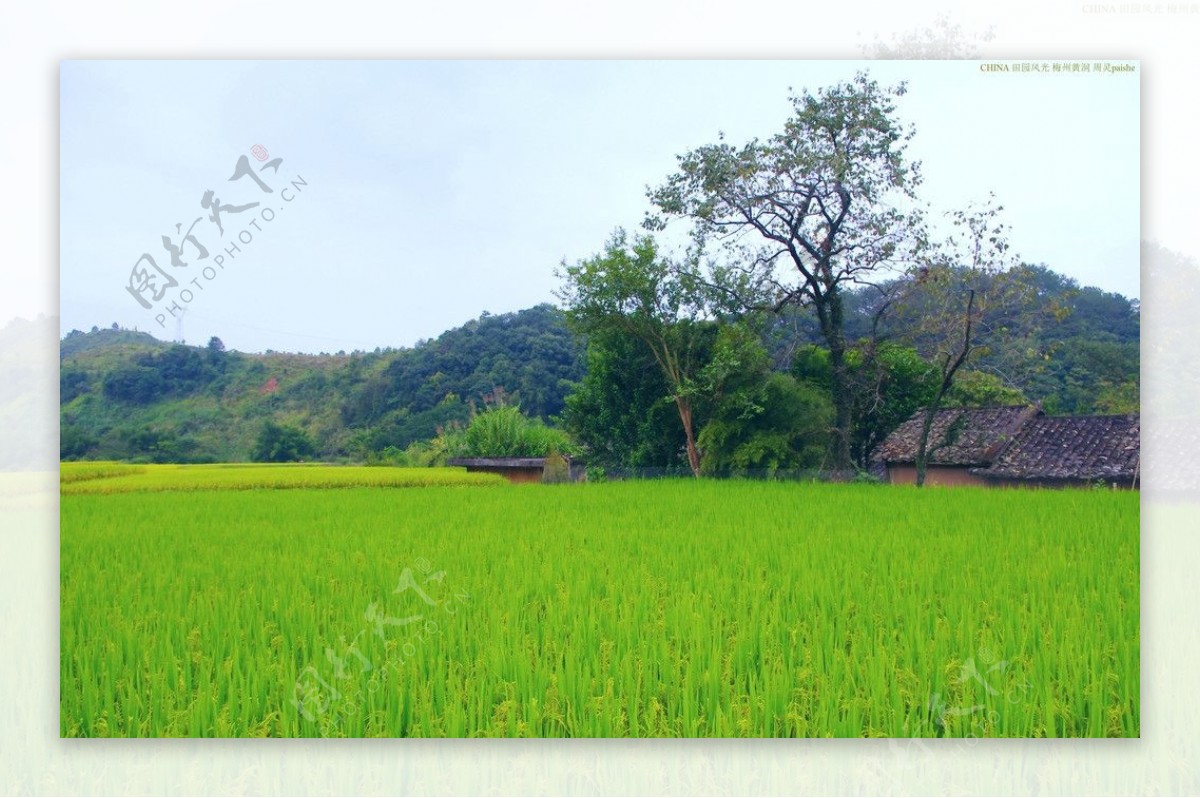 山水风景田园风光图片