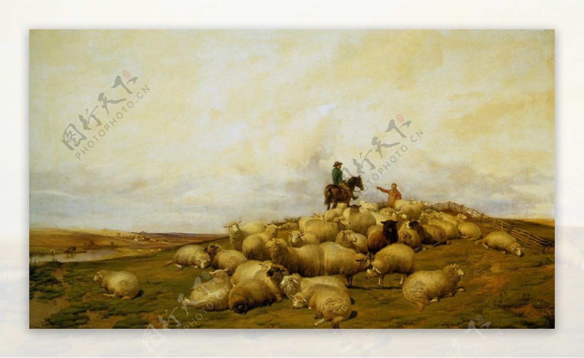 牧羊人和羊群图片