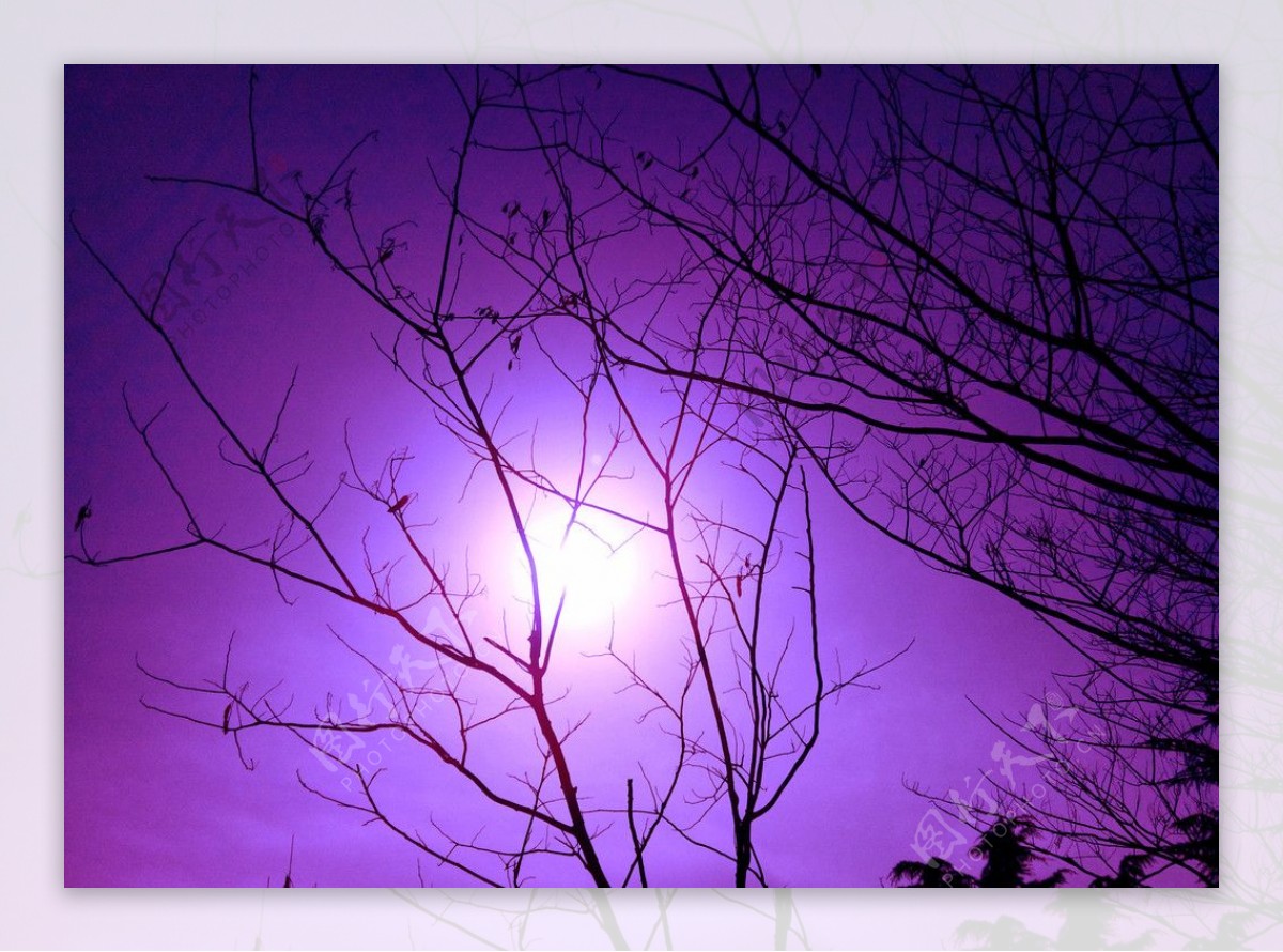 紫光图片