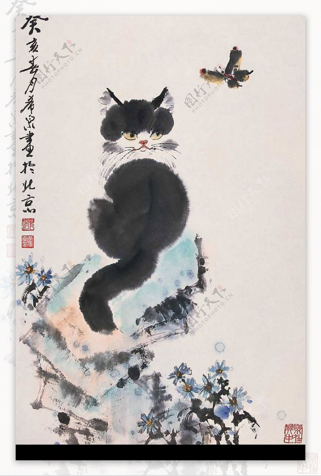 庞希泉现代国画猫蝶图2图片