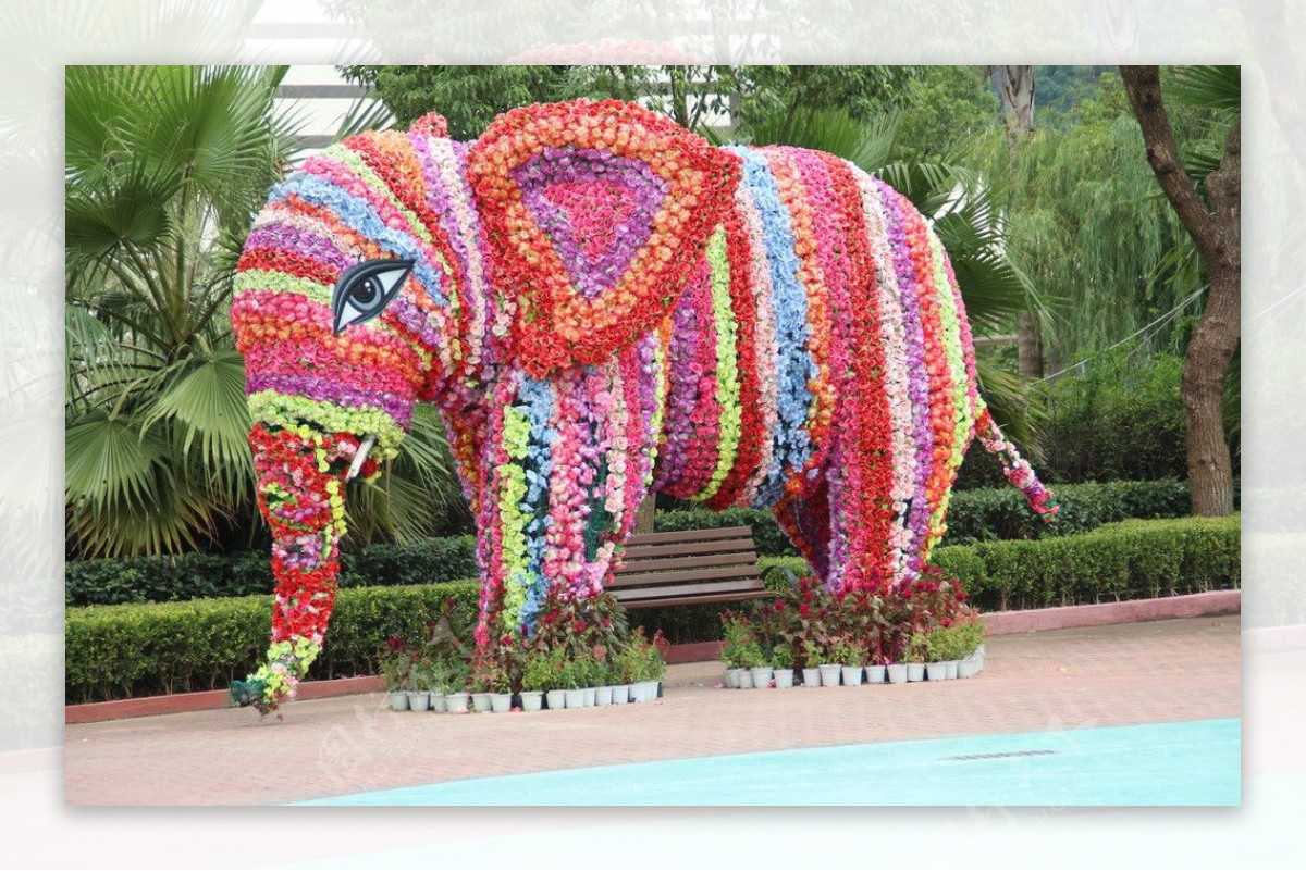 温州乐园小旅游大象图片