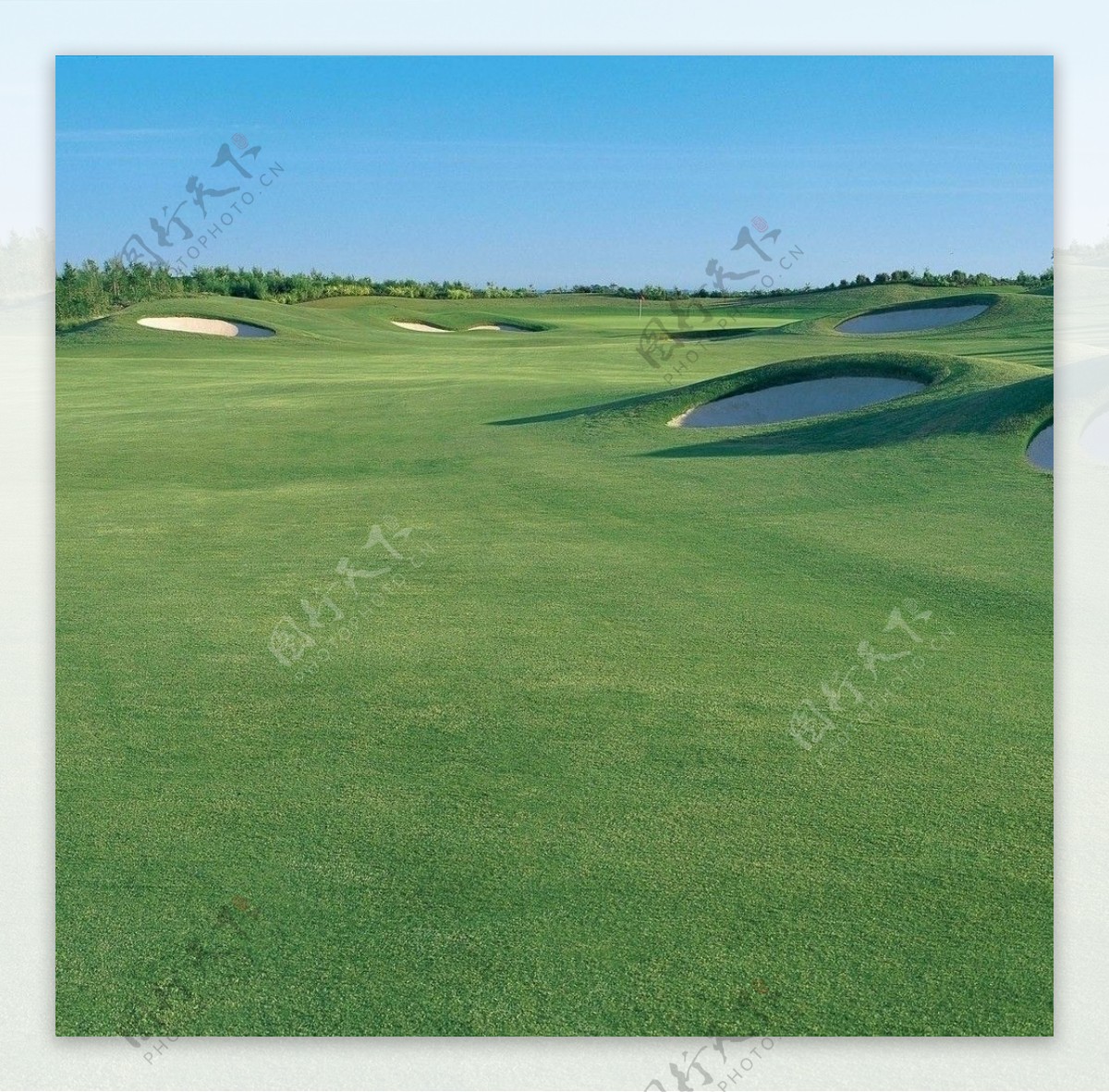 高尔夫球场美丽平坦草坪图片