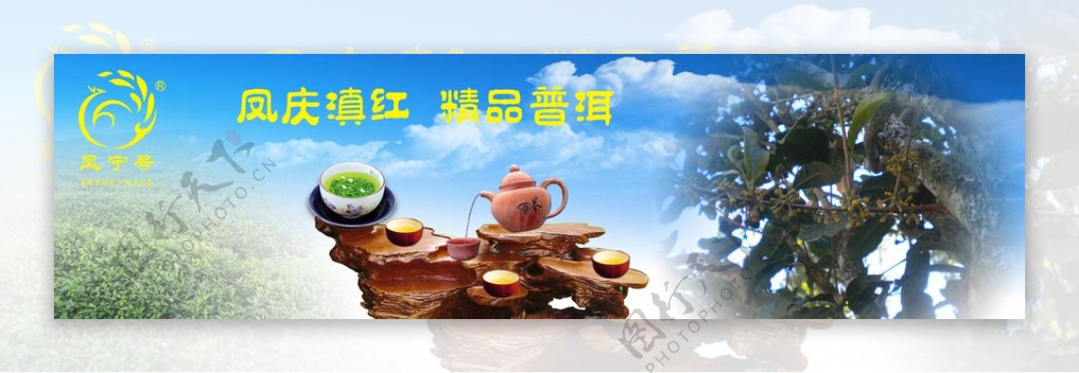 凤宁普洱茶图片