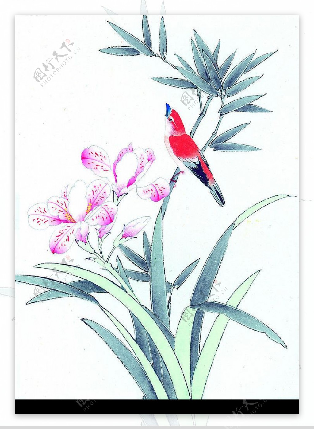 彩绘花鸟图片