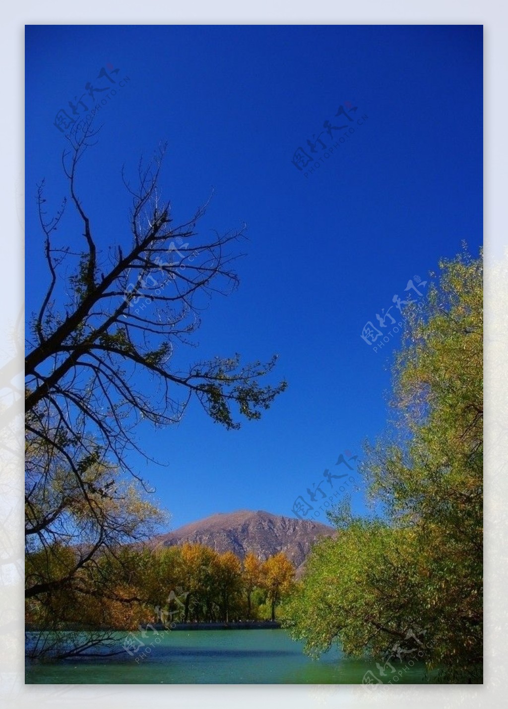 新疆风景秋图片