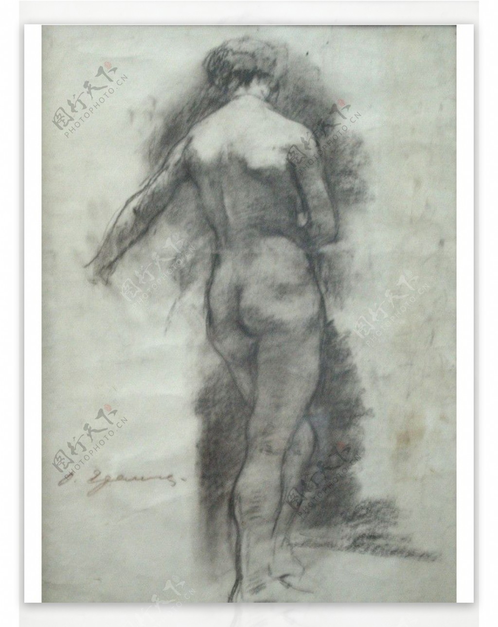 俄罗斯美术作品精品素描女人体背部图片