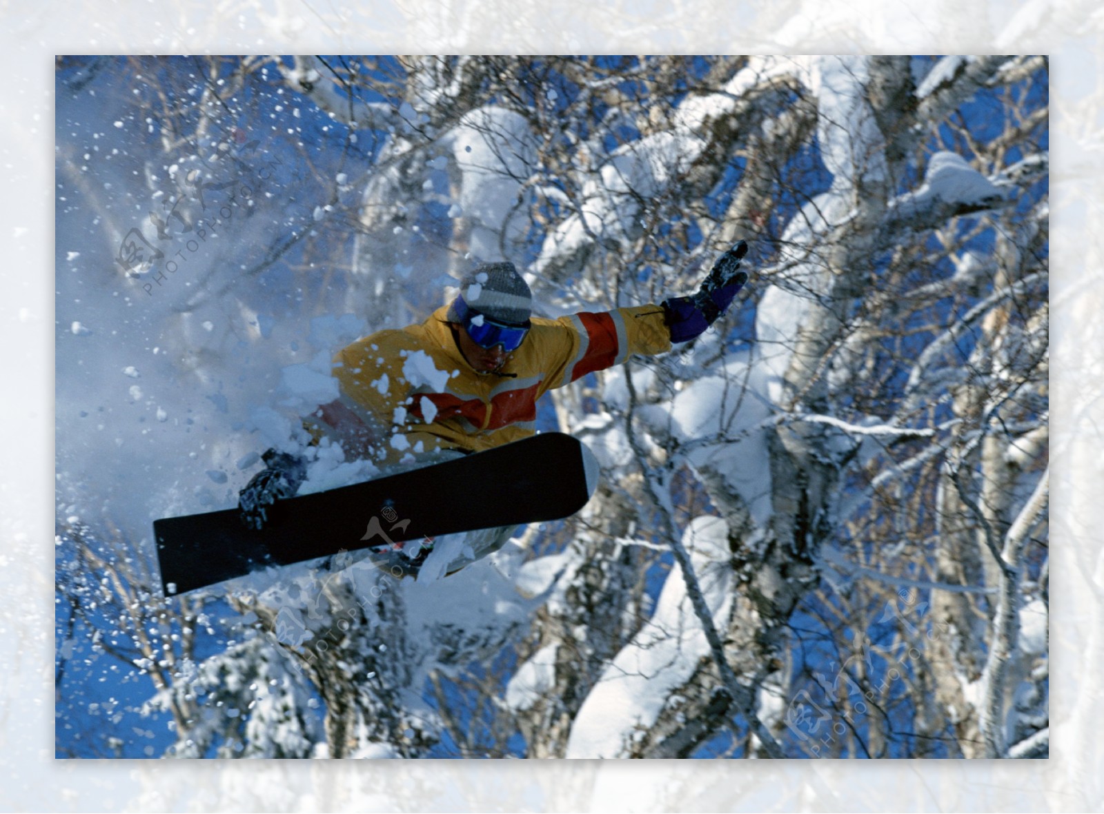 雪林滑雪跳跃图片