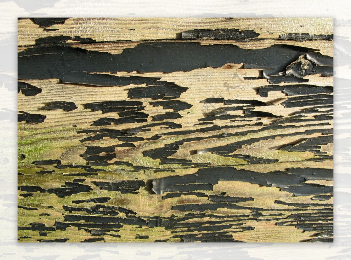 木质木纹图片