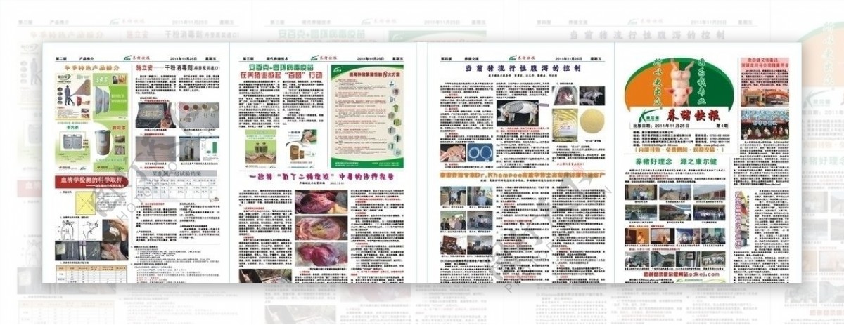 养猪报刊第4期图片