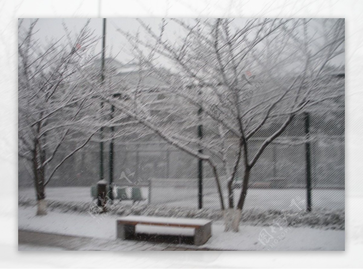 同济大学网球场雪景图片