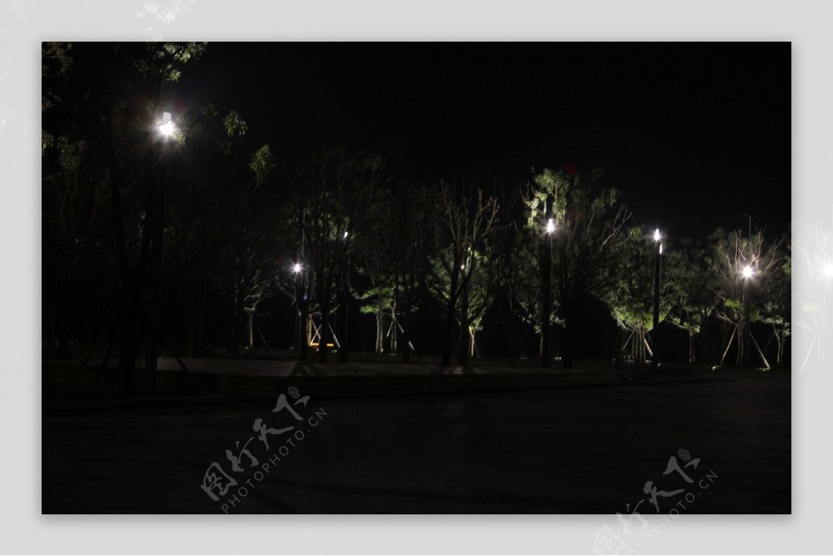 LED庭院灯图片