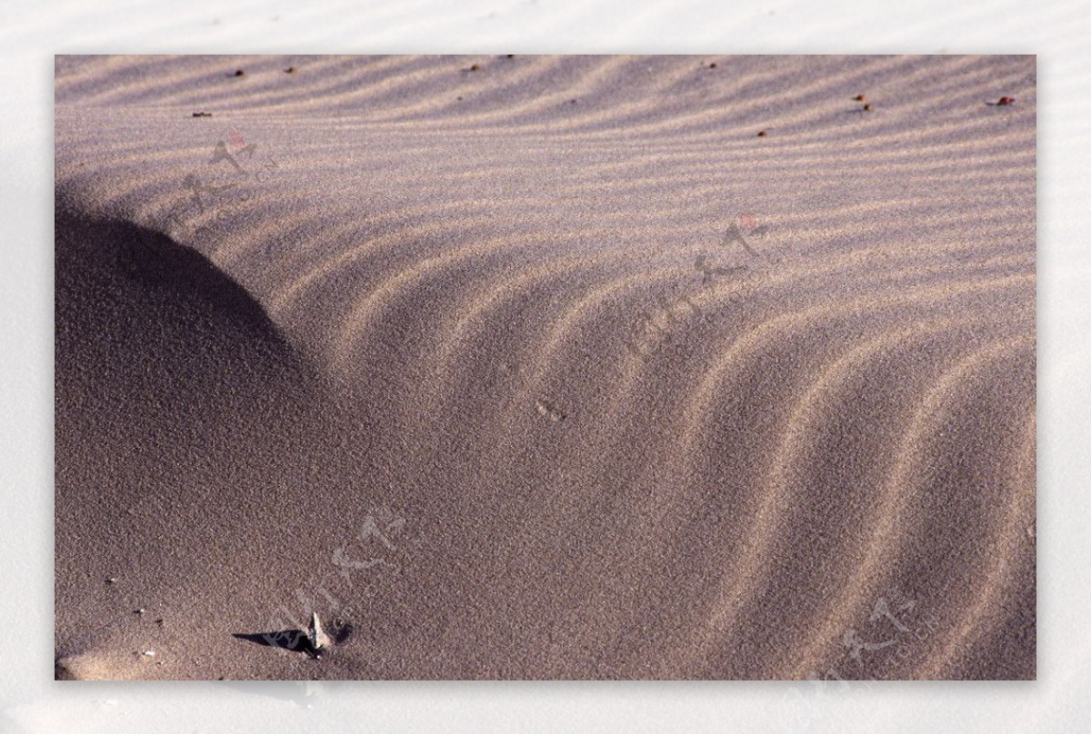 沙漠沙丘图片