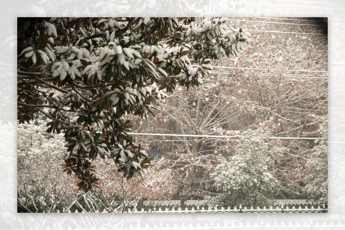 下雪雪景冬天图片