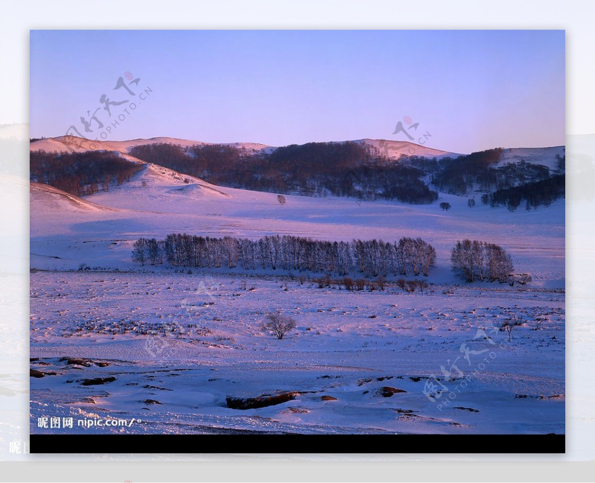 雪原晨光图片