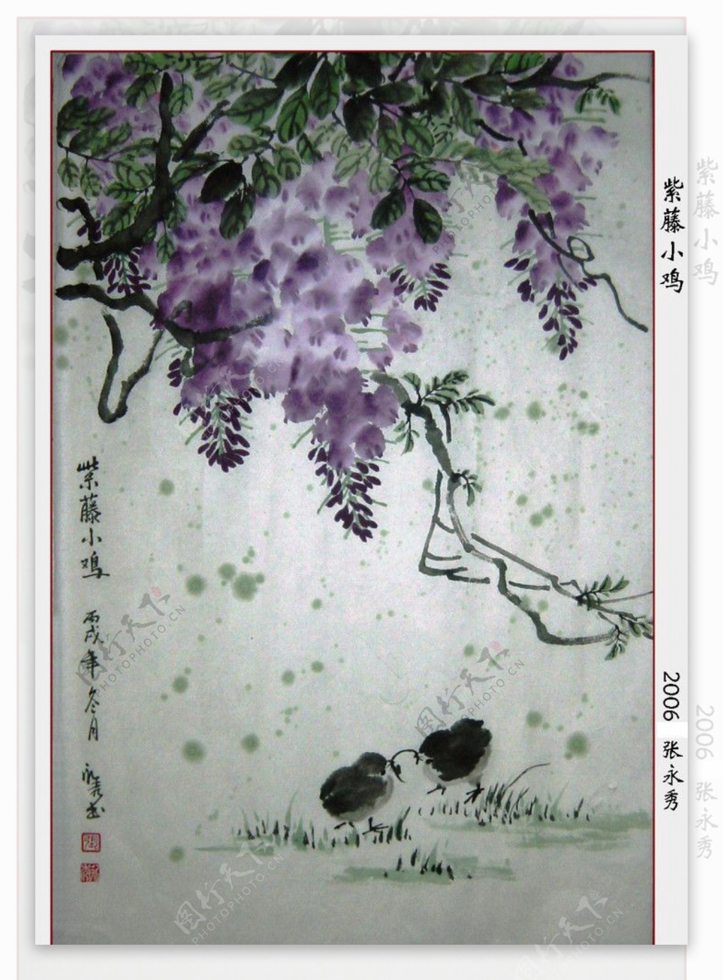 紫藤小鸡图片
