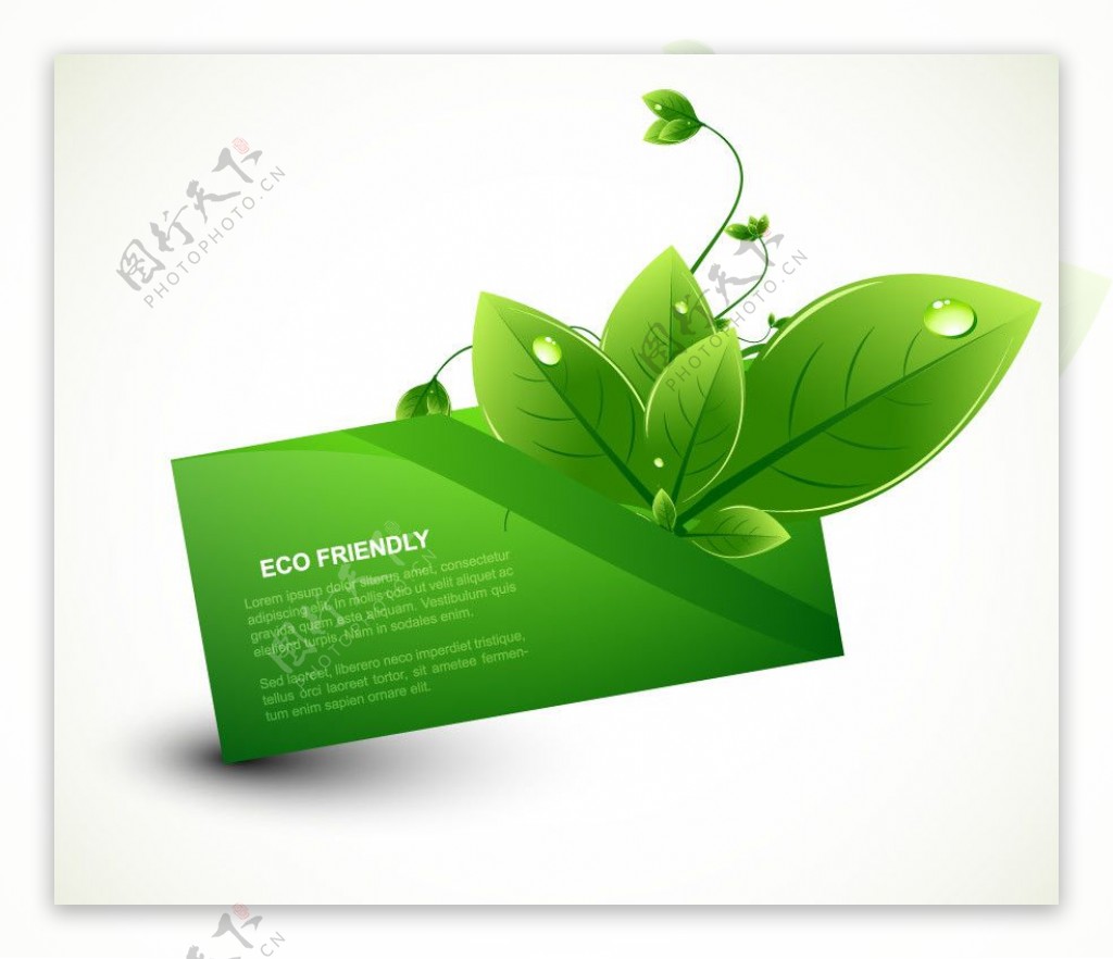 绿叶水珠水滴环保卡片图片