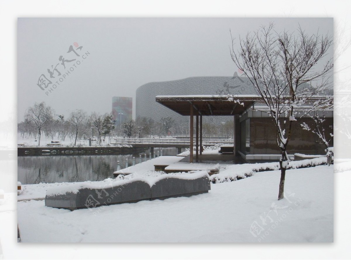 苏州红枫林雪景图片