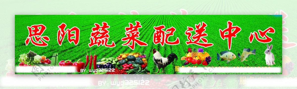 蔬菜配送中心招牌图片