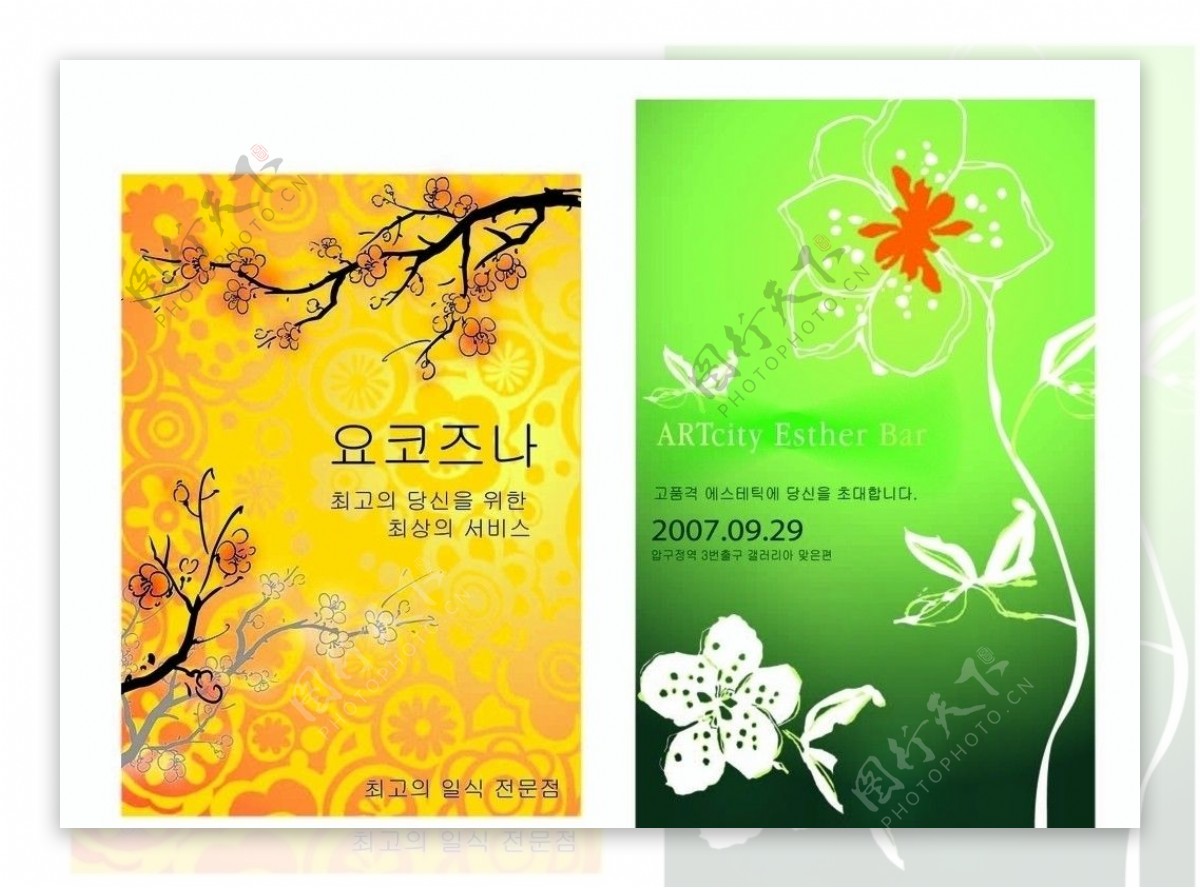 韩国花样背景图片