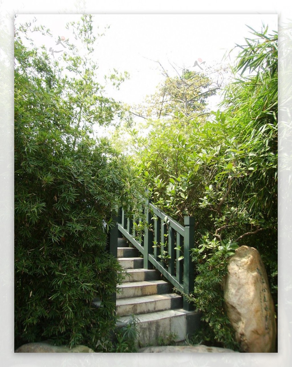 石梯竹子石头园林图片