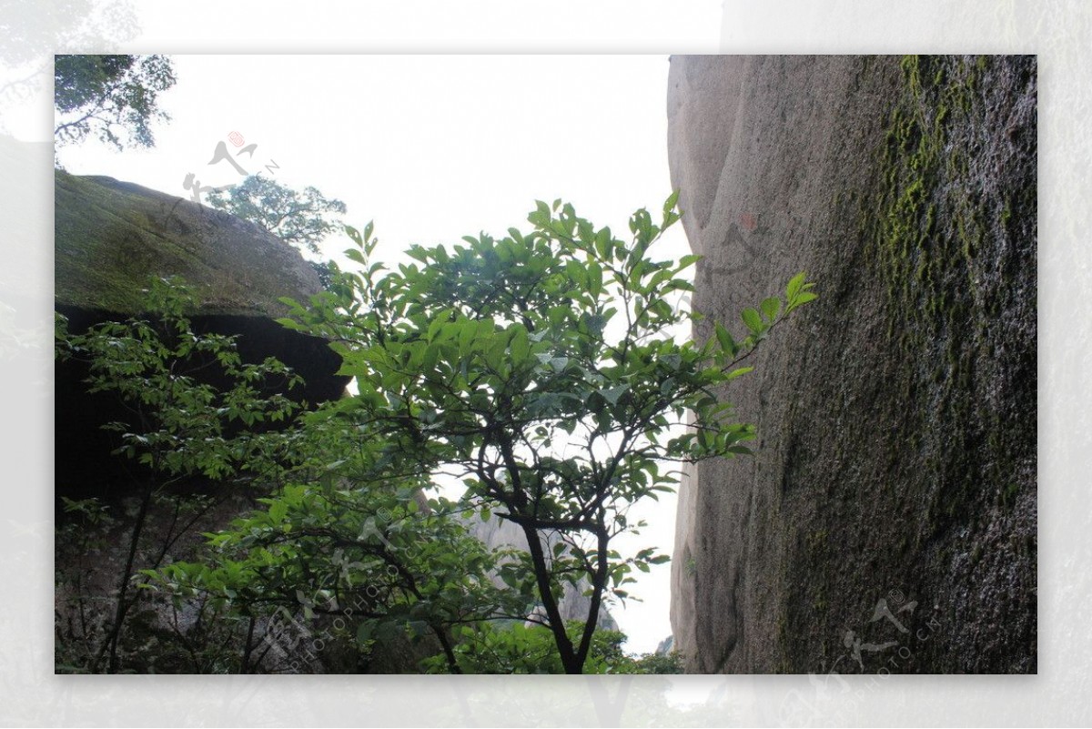 黄山图片