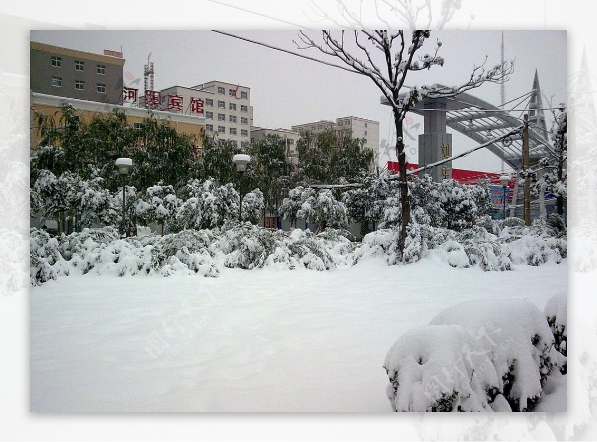 郑州雪景图片