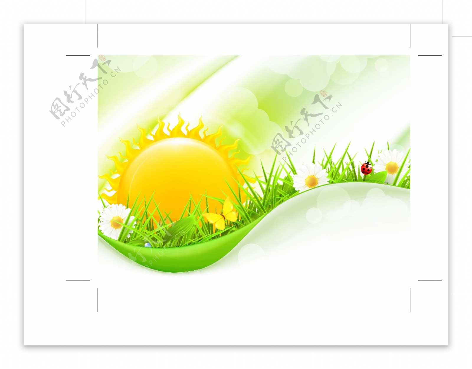 绿色动感线条草地鲜花瓢虫太阳图片